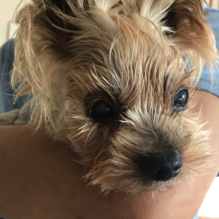 A3f881fb a097 4324 bf9f 64ffff717e92 1692527107973