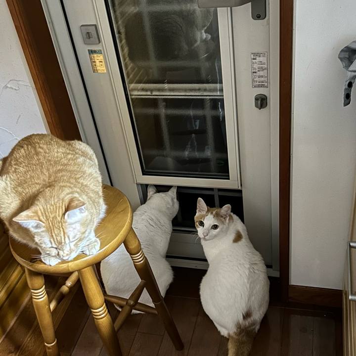 A3f8b9e9 81aa 4c81 b816 10f613773101 1686229266483