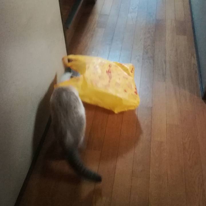 A3f8d80a 0af9 4d54 88db 22dda30894e4 1537349296513