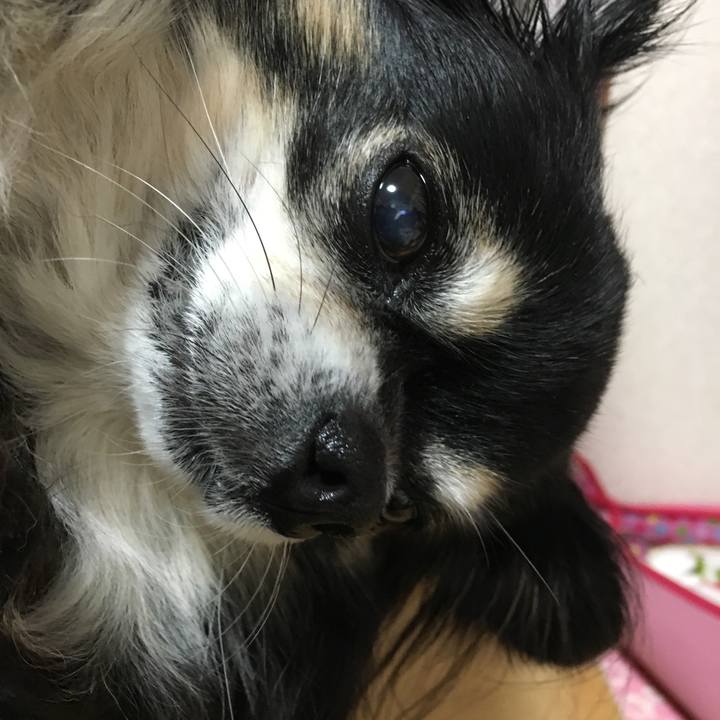 A3f90620 b5d1 427b 8420 d87229851167 1509885468137