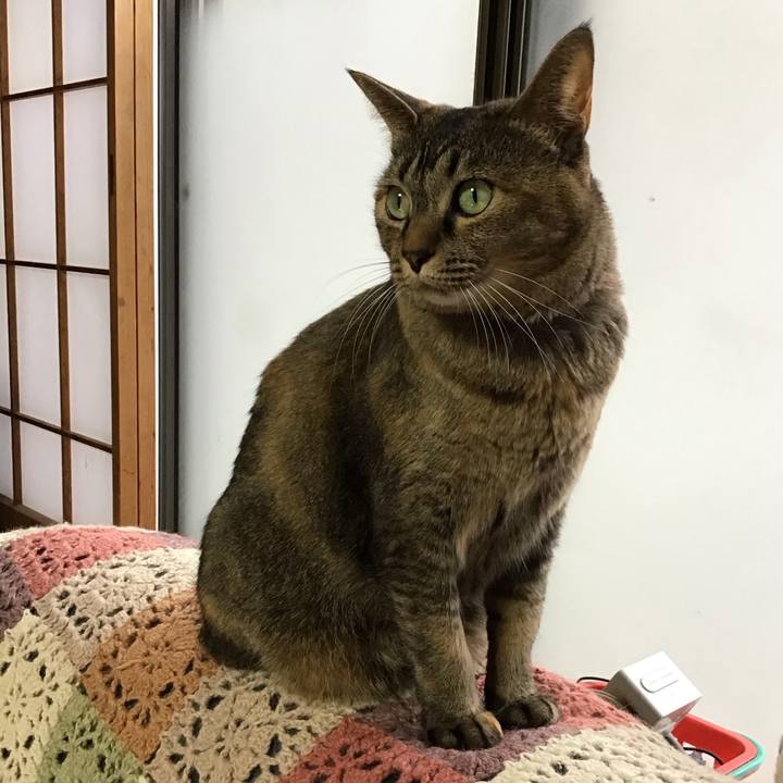 A3f91970 520d 4bb4 b1fa 66d9abf3fd59 1708853202575