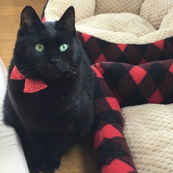 A3f938e0 4a61 449a 91f5 ab2df156a02f 1613258944137