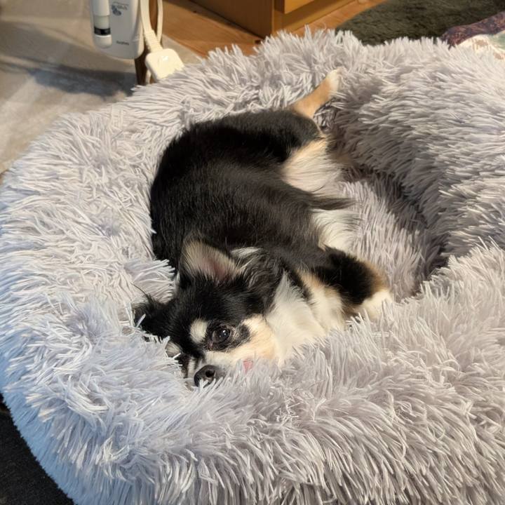 A3f952f8 5423 4efa 81fa c7496131e3ae 1770640994893