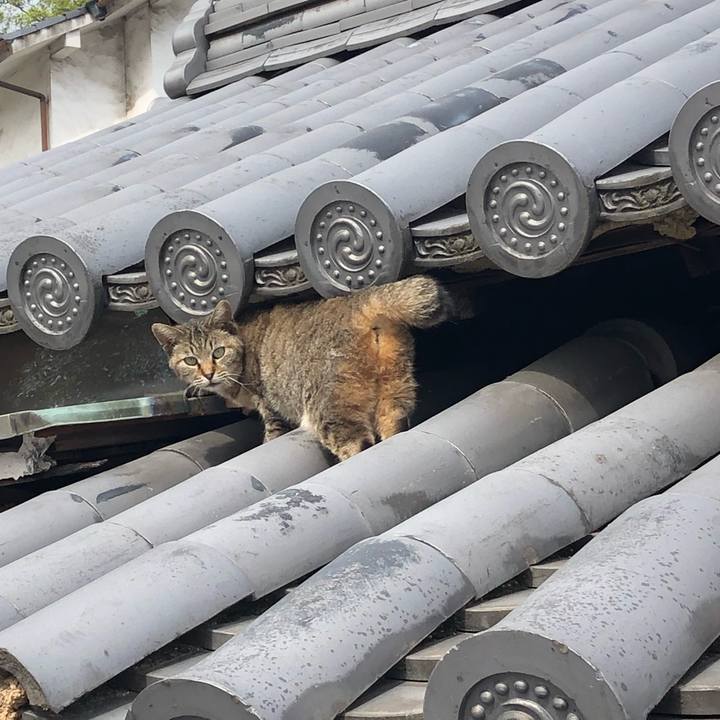 A3f975c0 887a 4e35 a447 3cde6a09def9 1681805747213