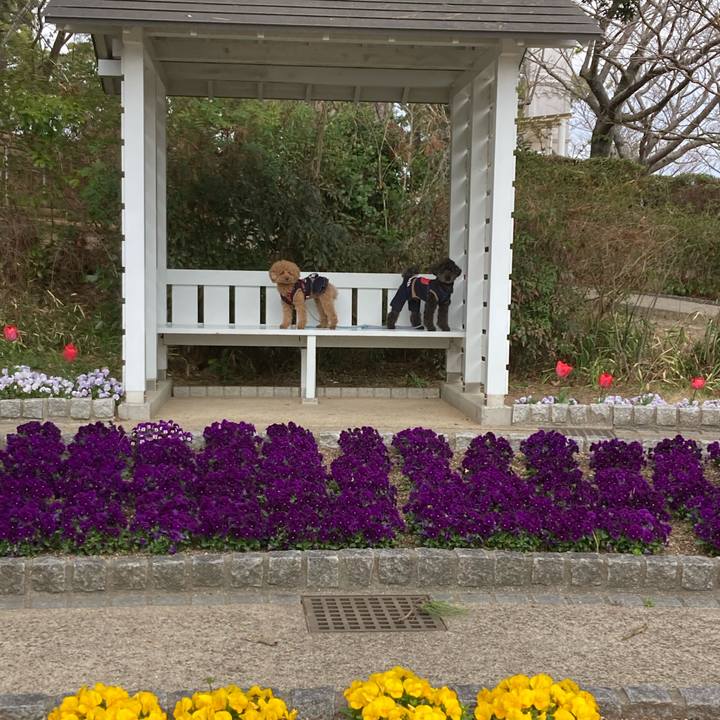 A3f98e4d 2dbd 4f62 a2cd c69c8e016ebc 1680002818033