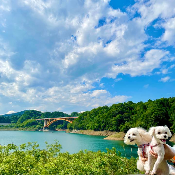 A3f9af01 4b26 4988 8caf 00e0b61b5857 1621852915593