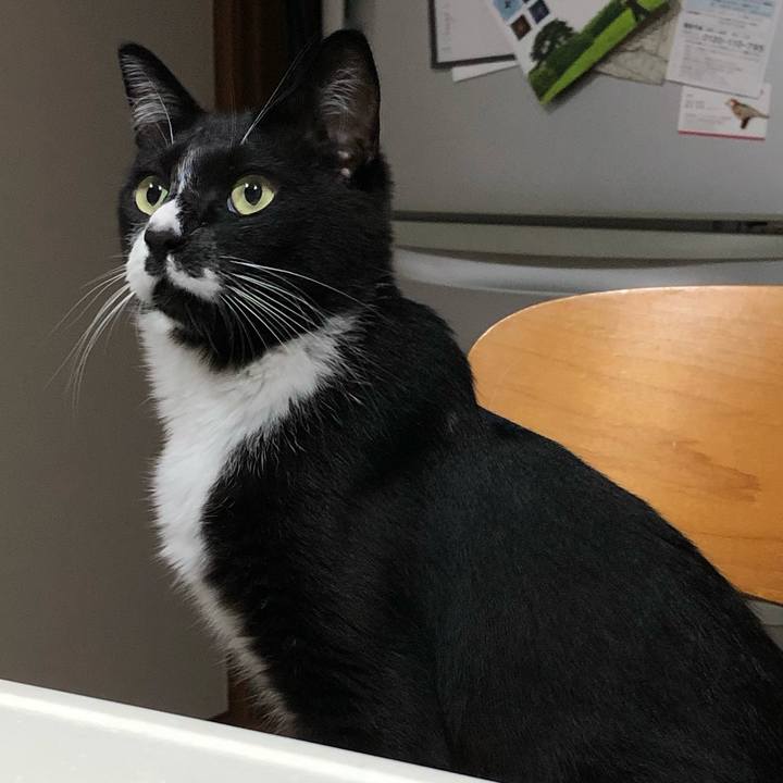 A3f9bc86 f421 47b8 a998 9969ecfa75f5 1629171238065