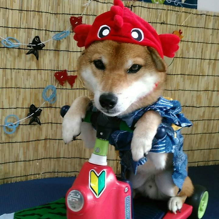 A3f9c2f0 d5fc 465e 83d1 49efa07b2cbf 1565925725100