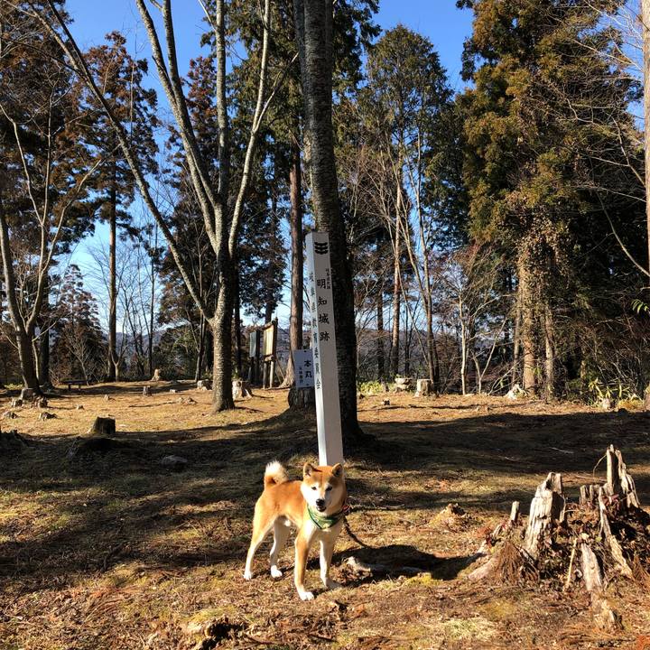 A3f9ece4 3a2f 43b2 b666 7514c949999c 1550475741071