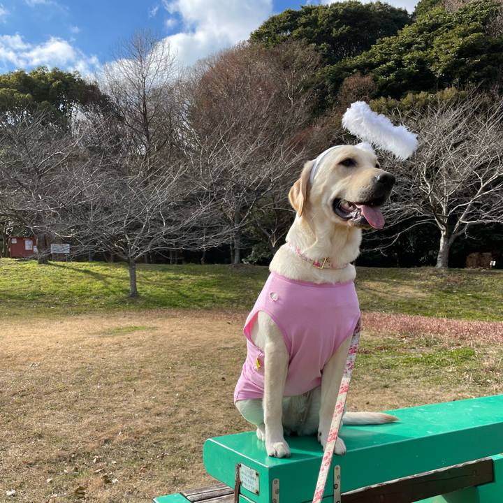 A3fa04f5 ec5d 4cef 8956 4cb19366a4e7 1642141619369