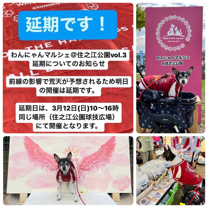 A3fa0899 6ba3 46ef 95c6 30496ee24f7f 1668296224057