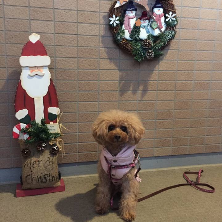 A3fa099f eb0e 4642 bb52 1a66c213cf62 1513839147096