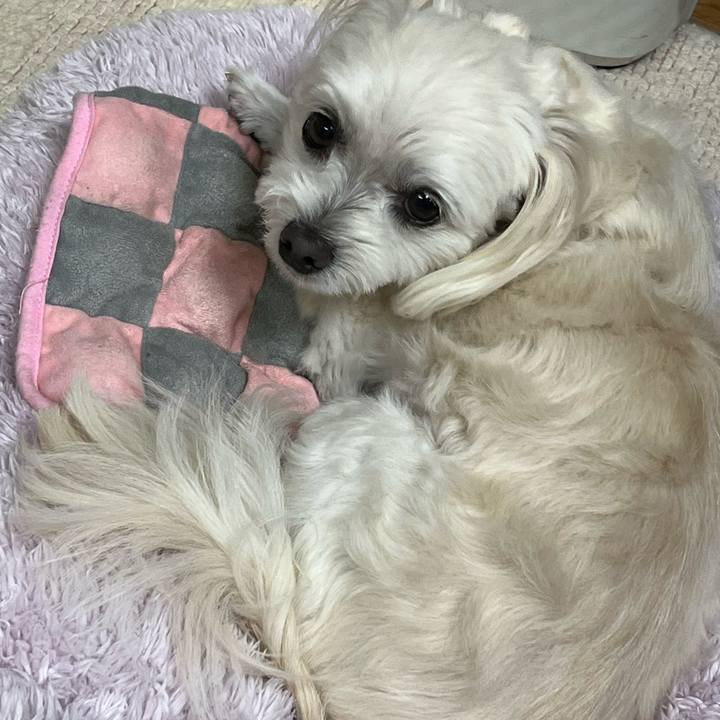 A3fa4728 3f9e 464d 8564 5c6f7c7f6efc 1698841603227