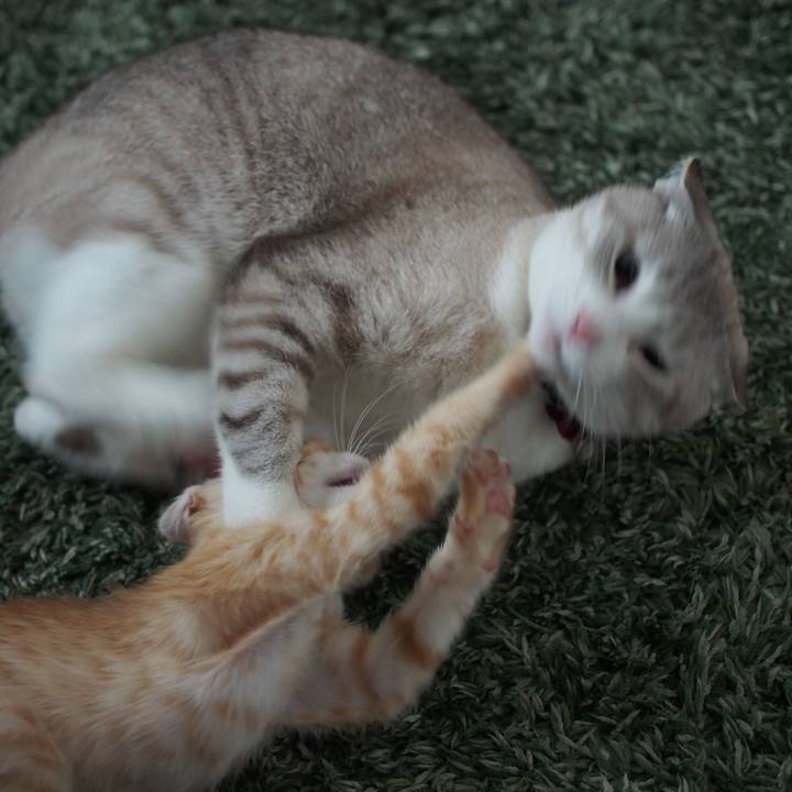 A3fa7e18 ab00 4a8d 8bb0 ceeb46df1aba 1572746935192