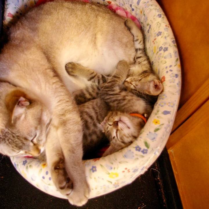 A3fa7e32 d8e9 4c7a 823f bd2f2ba80e40 1616239222958