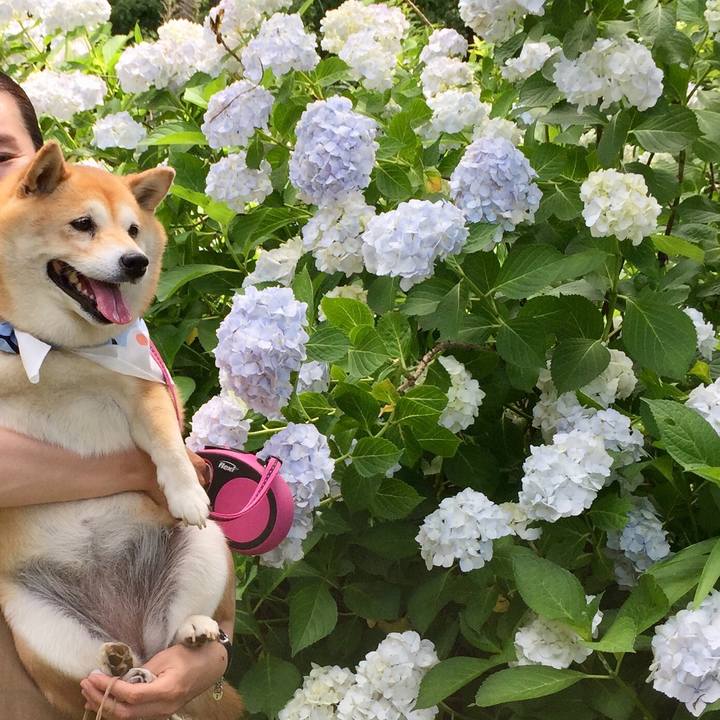 A3fa98c9 5764 43db af75 367b540d9e77 1592125072155