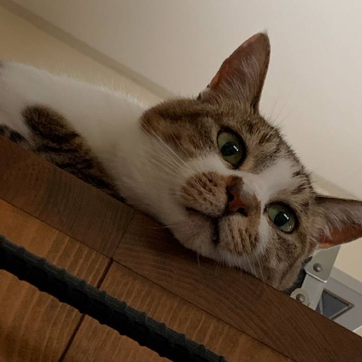 A3faa97c 207c 43df a4db acb30d01a23a 1625038668739