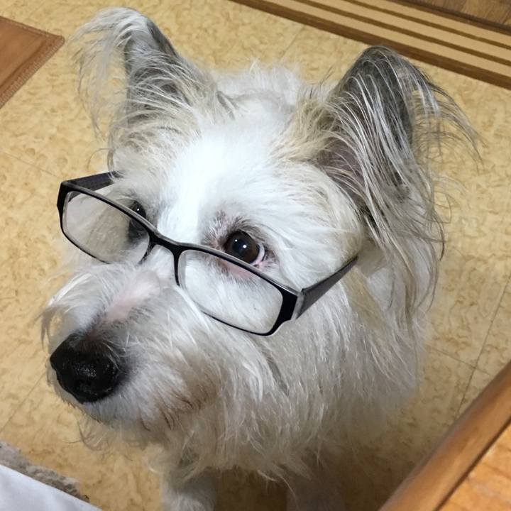 A3faec04 b96a 4587 bd9f fa2865b5f5b0 1523620679506