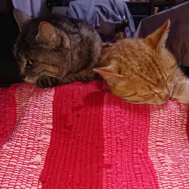 A3fb1763 66d1 4fa0 9079 c72b1374d651 1554635540399