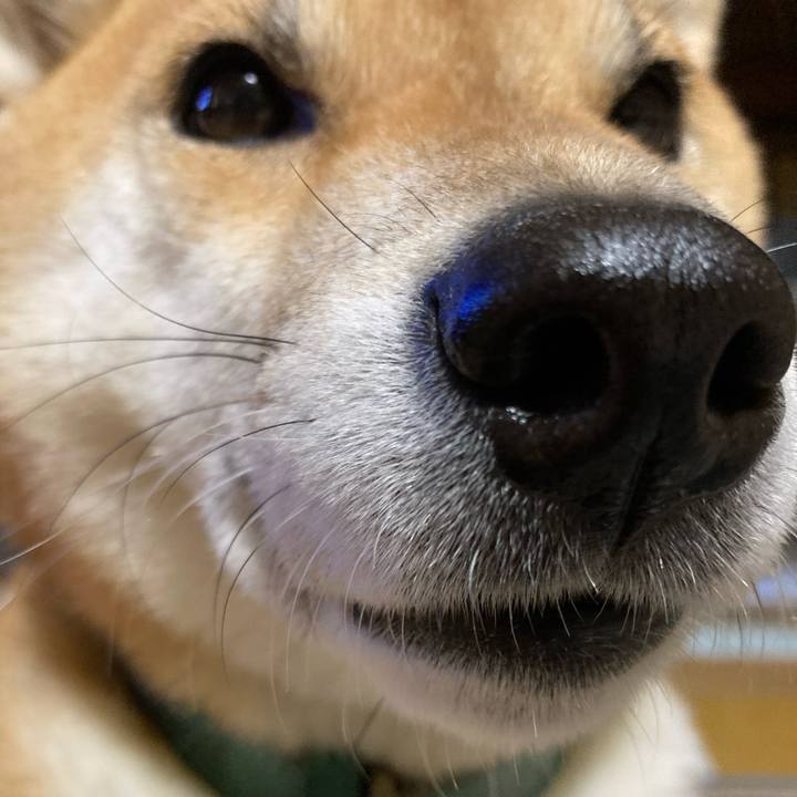 A3fb36bf bd2a 4ff9 904c b708aa4baff0 1608809072986