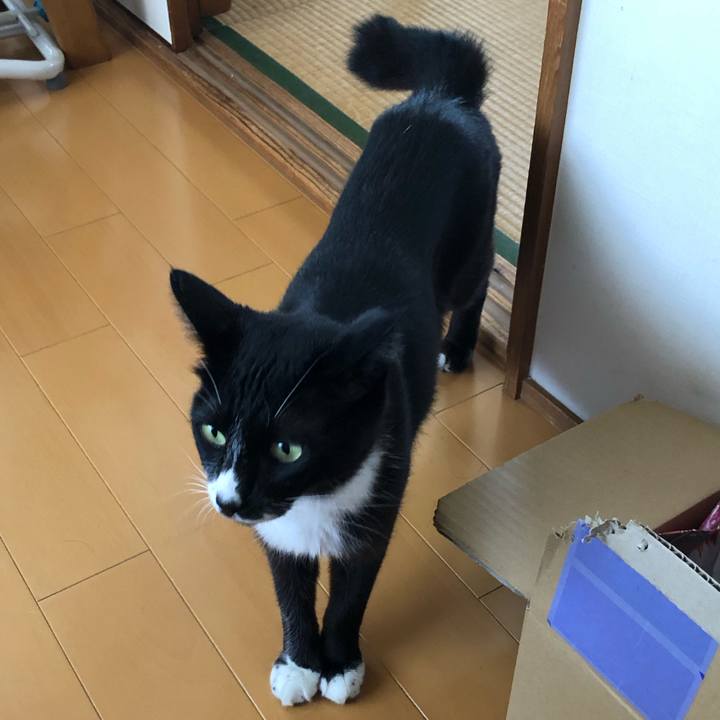 A3fb4234 34a0 42b4 a340 565b2b87b4a3 1630380871691