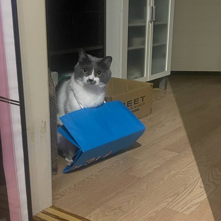 A3fb5498 1c73 4c8c bd17 b18520ad026d 1696605739914