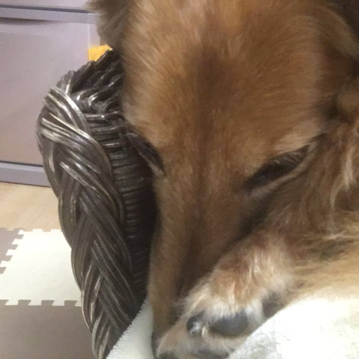 A3fb5cc8 123e 4ffc b10e 9d97f9e9bab4 1616938944422