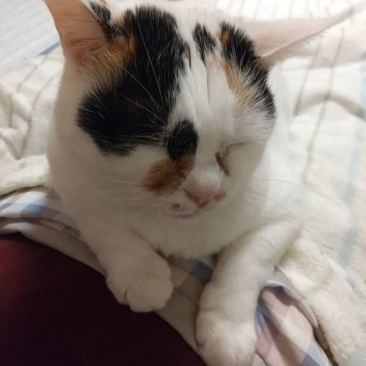 A3fbb55a 1588 4149 bb5d b9c2e9d59bac 1665065543058