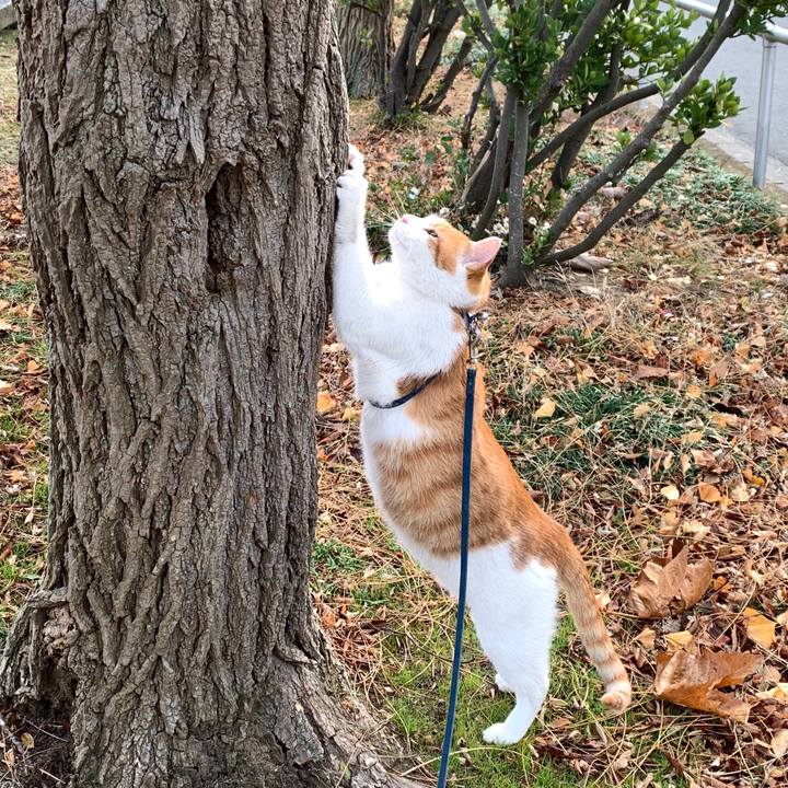 A3fbc546 a021 451d ad95 40a95d009993 1575170303841