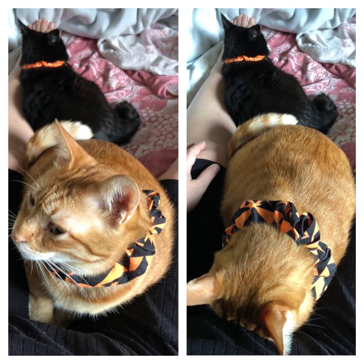 A3fbf1f0 a751 491e b627 cd9ca39118a6 1570745085393