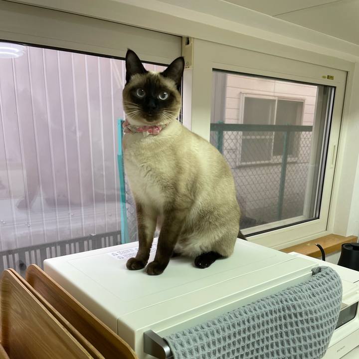 A3fc1382 6168 4e6c 9a55 59cf7d893985 1717011404951