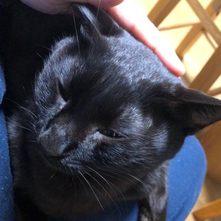 A3fc6d5e f8ed 4bb3 a9f4 75a823be5843 1734617490154