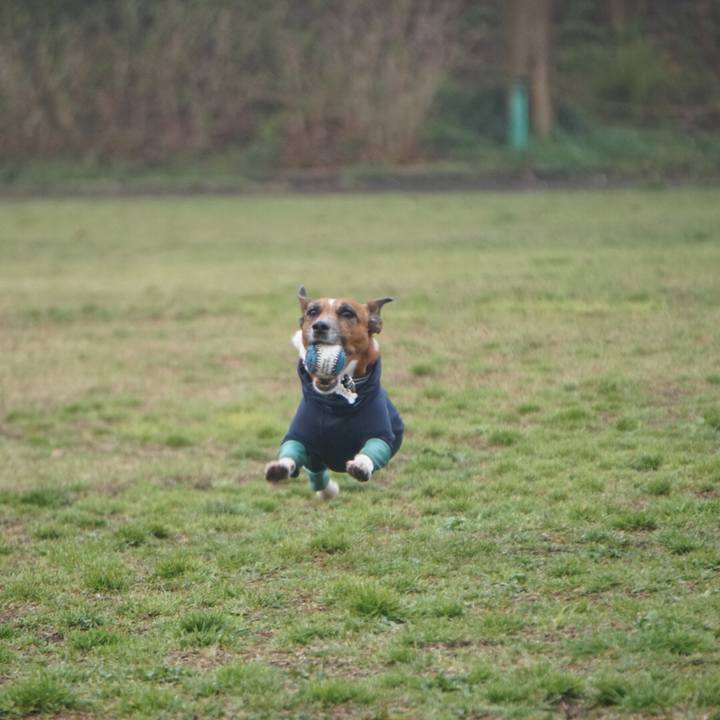 A3fce2d5 0886 4cab 9f9b 8e66ecb39c0a 1556232057426