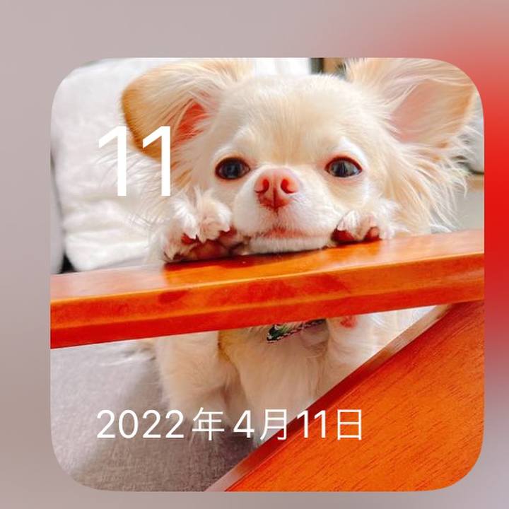 A3fd102f cbf4 44cf 8e1c c2144241117a 1712823363871