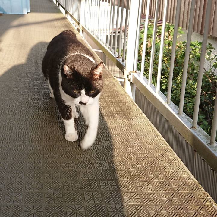 A3fd13e1 5c2b 4b66 b106 4c79bf0bf51f 1601594365425