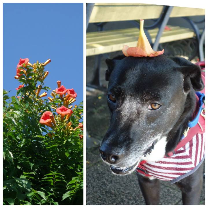 A3fd2868 69af 4acf 90f8 8690dc7f7333 1686875180652