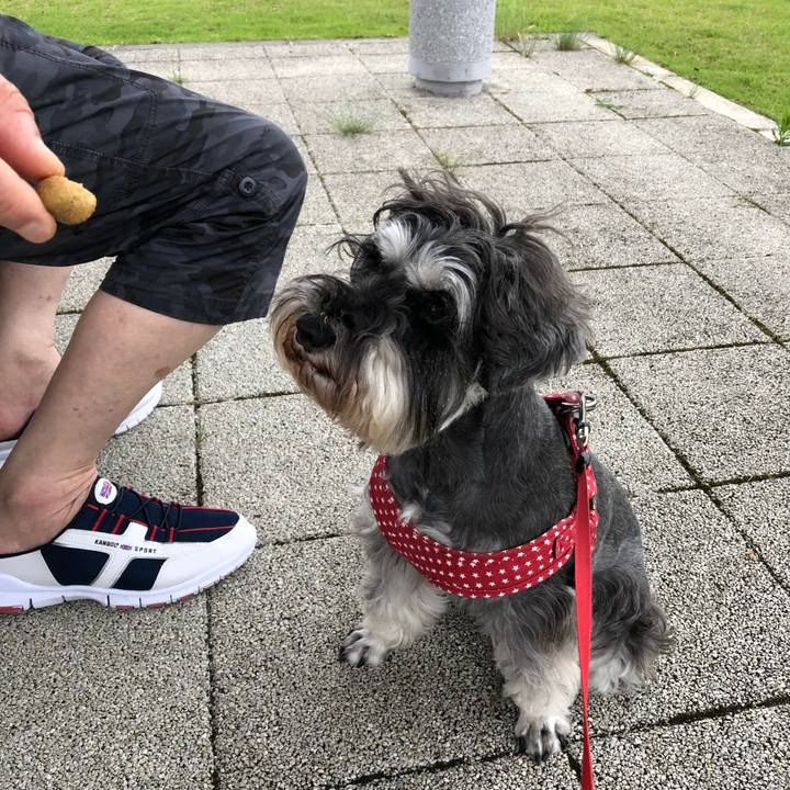 A3fd57cf 2b2c 4673 ace0 3c926e727278 1562332530545