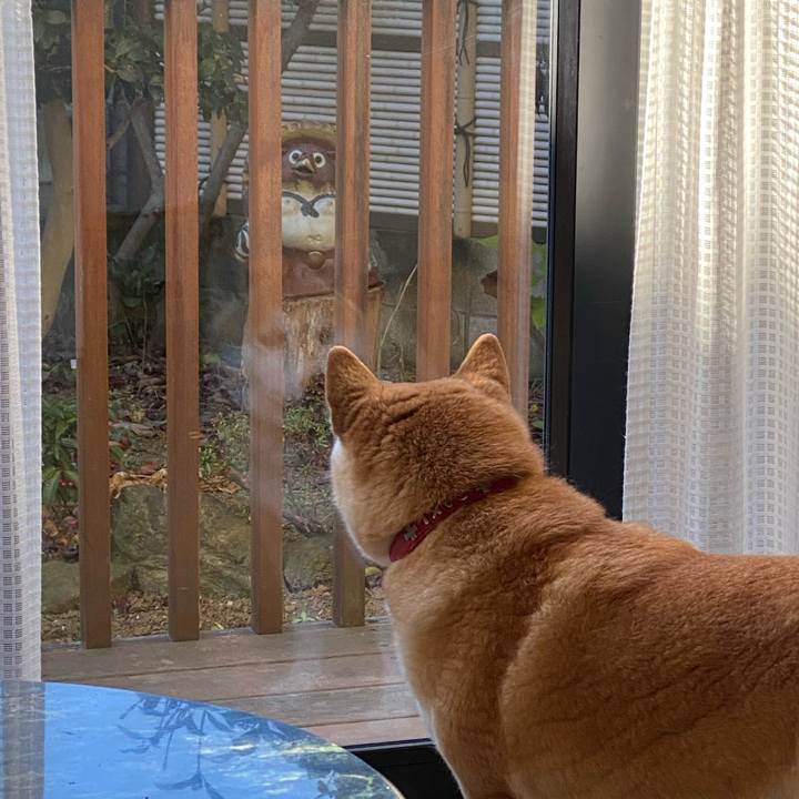 A3fd6306 185d 461c b53f 83005ec04610 1608950074302