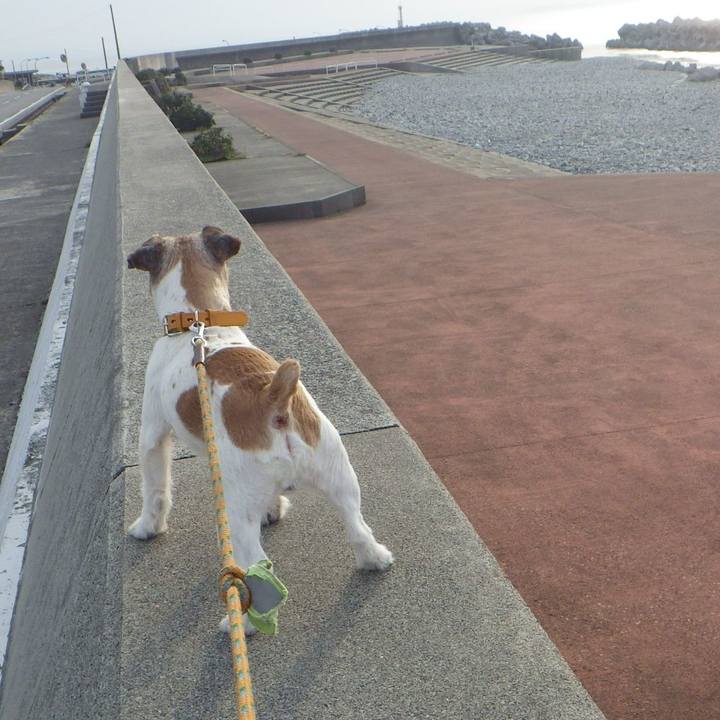 A3fdb6f8 0465 4361 82bd fbf6196086c9 1554212322520