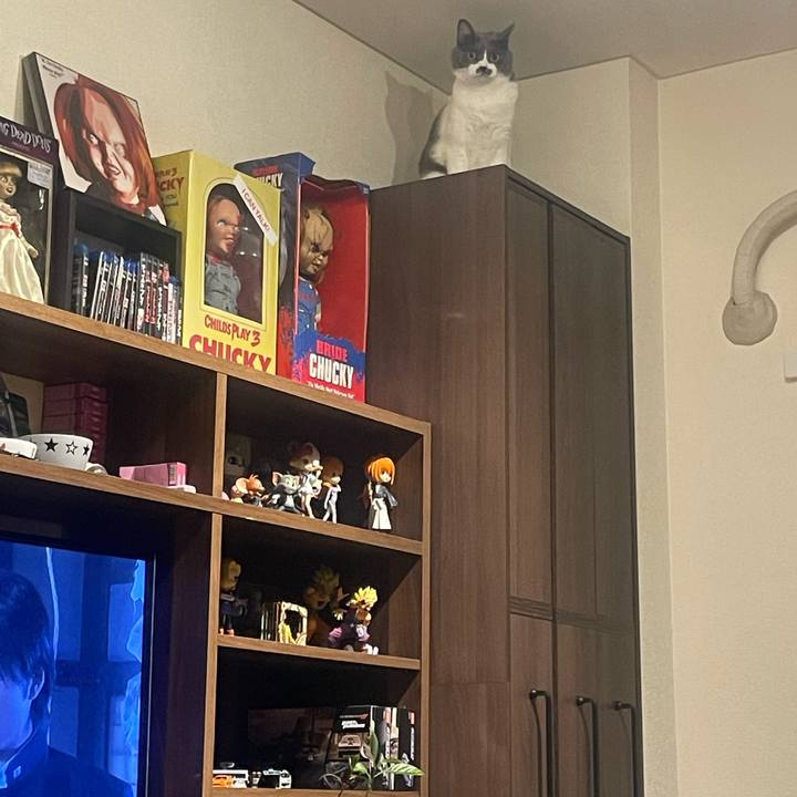 A3fdc907 b360 474b b843 149c1bba4985 1729601561768