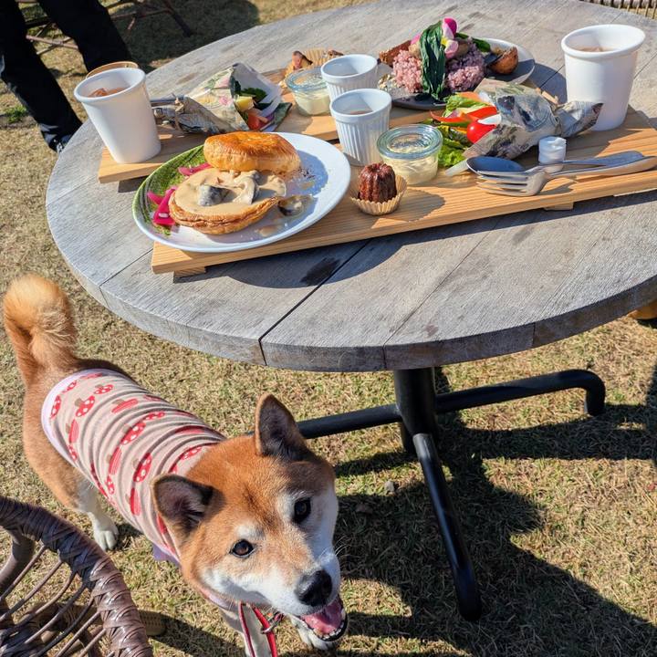 A3fe06f4 e41c 4019 81fd 3a6f7e85c787 1762996259444