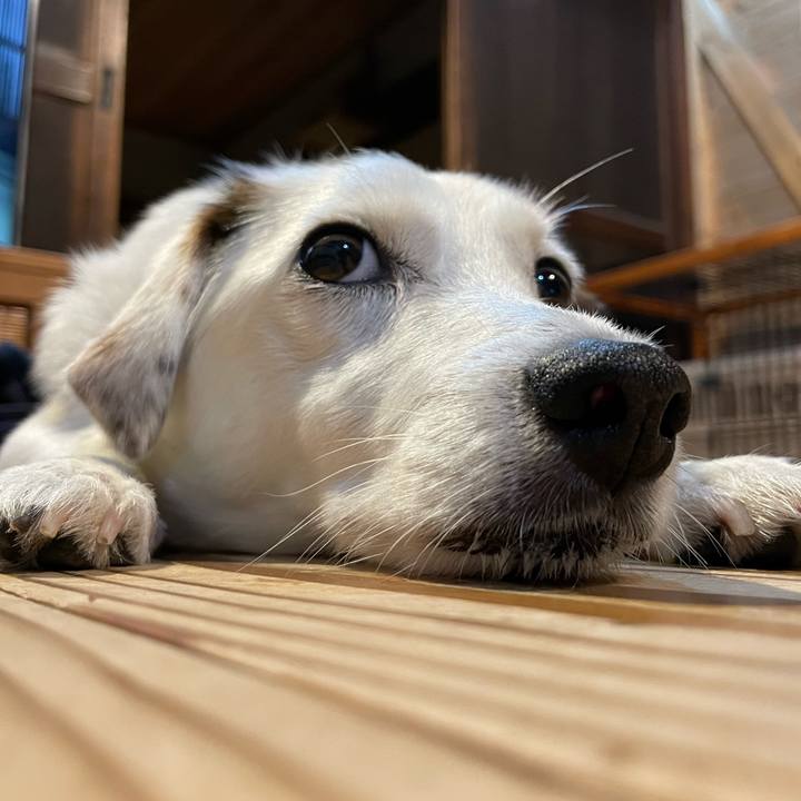 A3fe372d 7c09 4db8 aa5e e099edaefa58 1760184653279