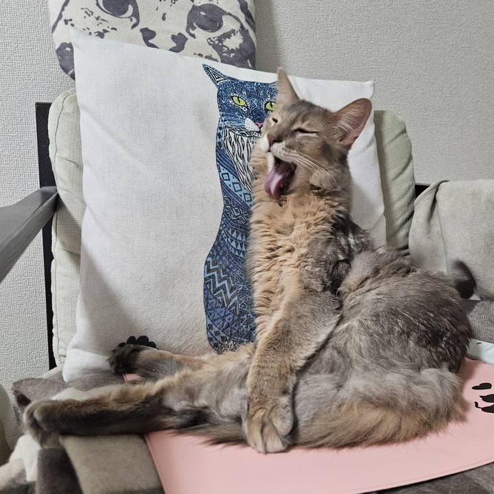 A3fe45e9 7b75 4867 ac04 249f28b9f702 1737425396386