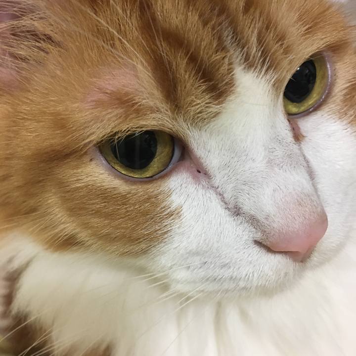 A3fe58d4 35dd 429d 898f ead2e53c2a01 1538922809104