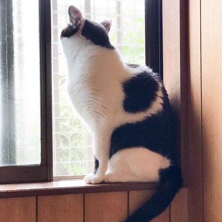 A3fe593b b8fc 4477 b57c 64c303a05b15 1529420128258