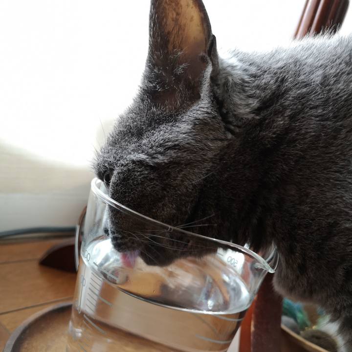 A3fe90d1 6673 4ba6 aefb c1f09b56ccb9 1592119563908