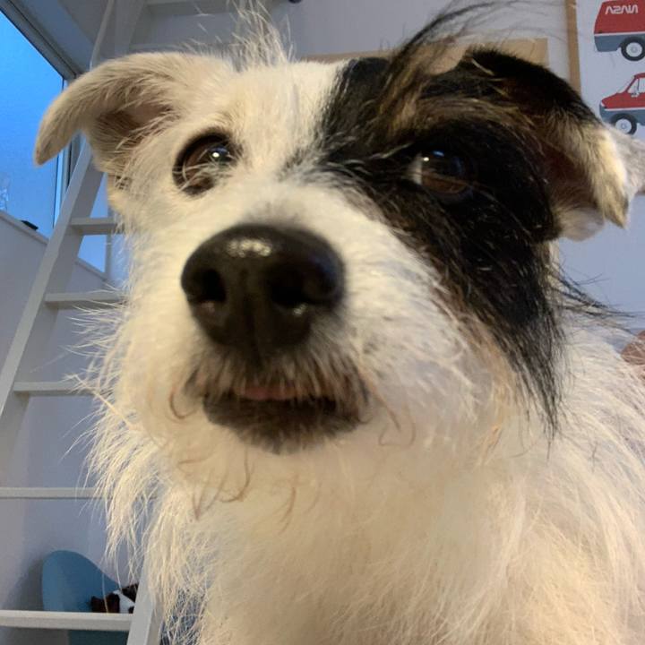 A3feecb8 8a69 4b85 b929 ba6c794d446c 1657360185788