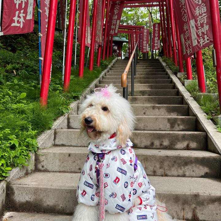 A3fef404 dfa1 42b1 97f0 a8f10bfcee69 1748590661410