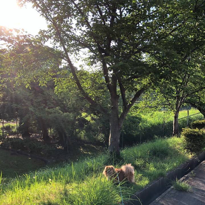 A3ff151b afbe 4325 9580 aedcca982c43 1561498550724