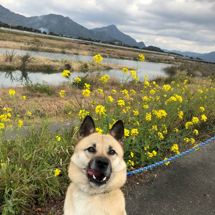 A3ff5bbf dba5 46b4 8304 f0510485c8d9 1553418232116